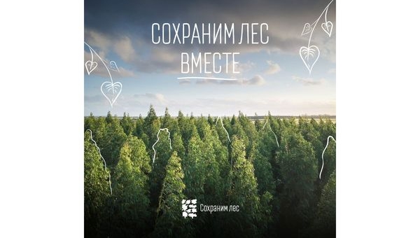 Примите участие в программе "Сохраним лес — ежегодная всероссийская акция"