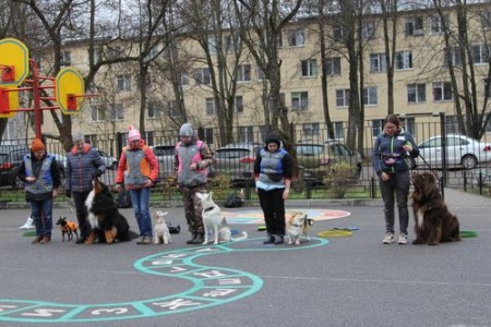 Встреча с клубом "Каштанка Добрый Пёс"