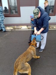 Встреча с четвероногими полицейскими